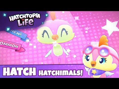 Captura de Tela do Vídeo de Hatchimals Hatchtopia Life