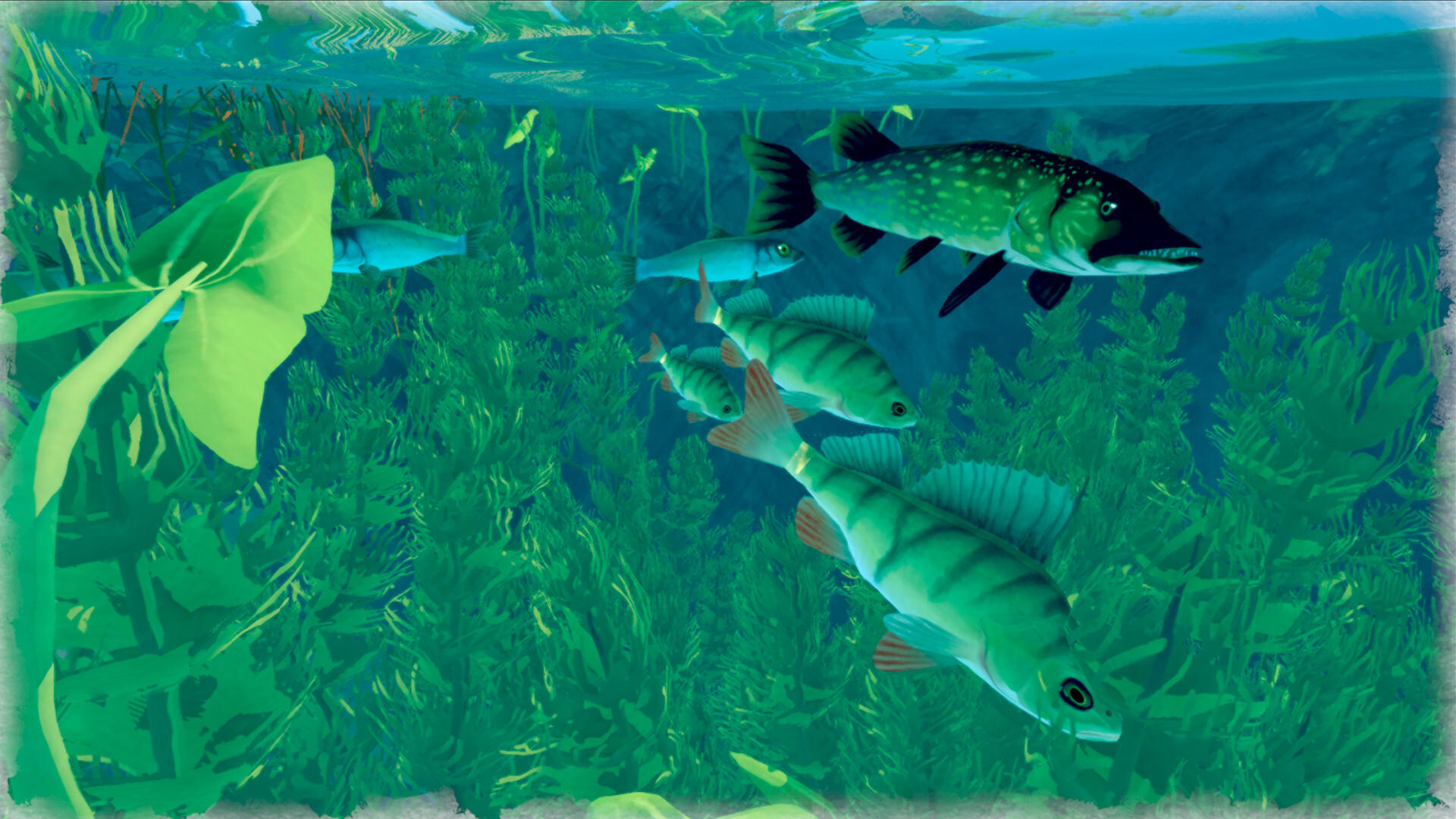 Among Ripples: Shallow Waters for Android/iOS - TapTap