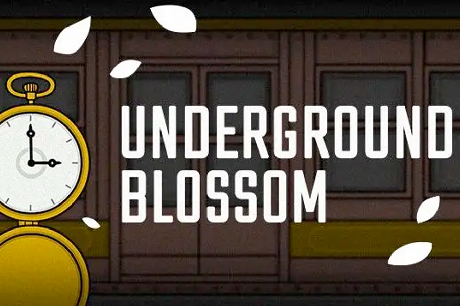 Screenshot of the video of Underground Blossom Lite