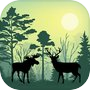 Forest Animals Simulator