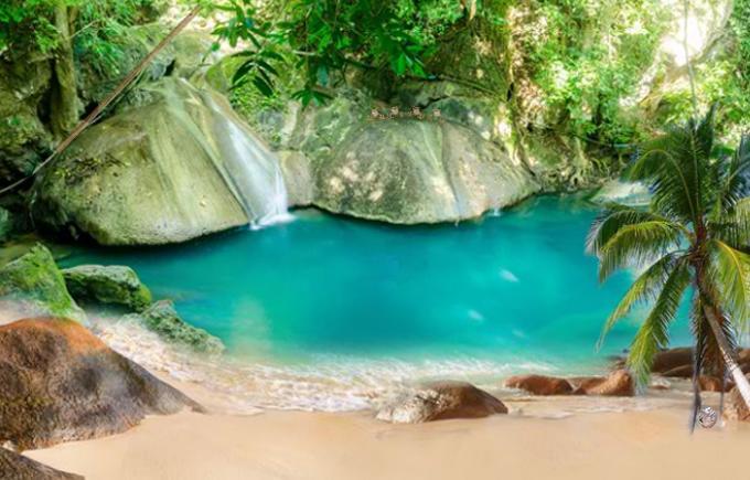 Escape Game Forest Survival Game Screenshot