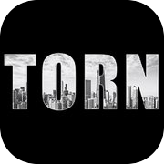 Torn City