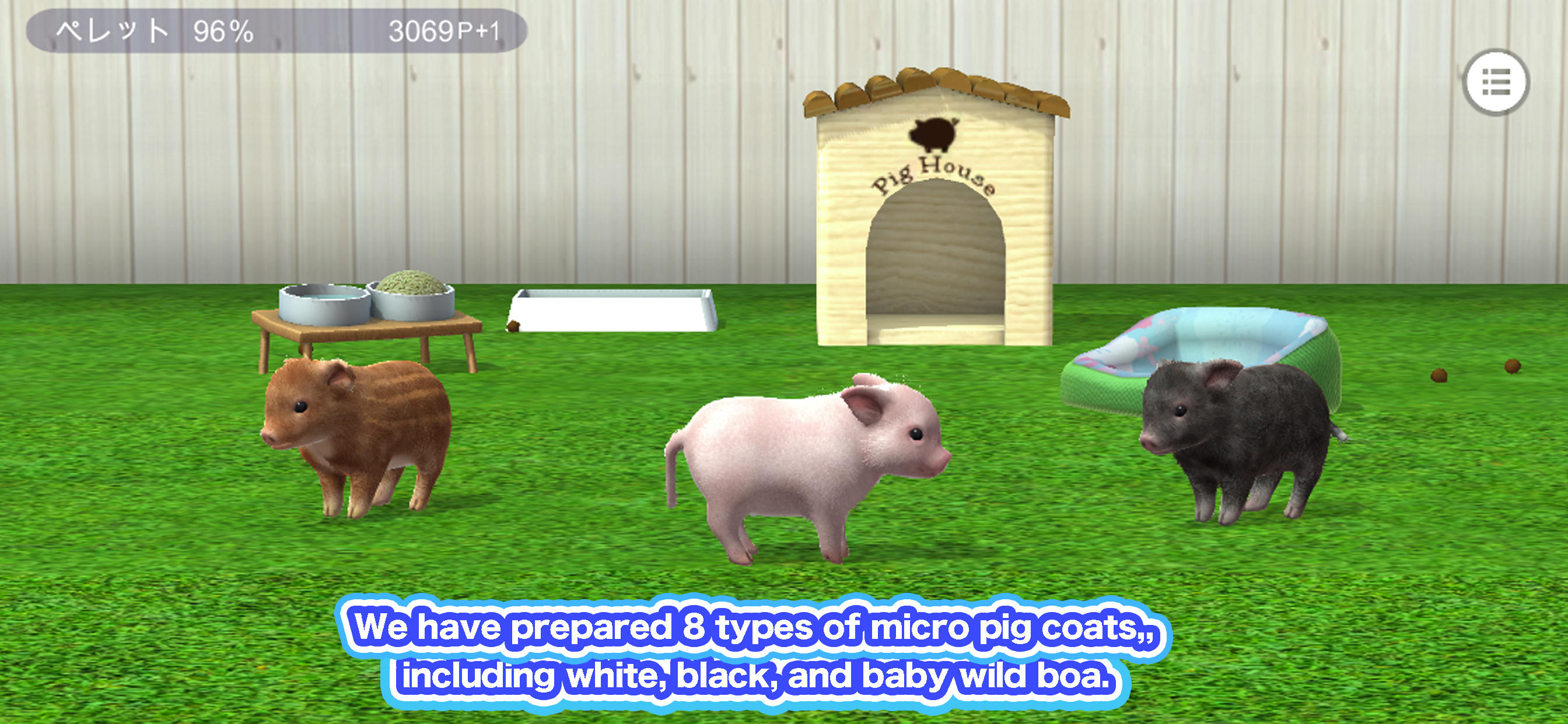 My micro pig Game Screenshot