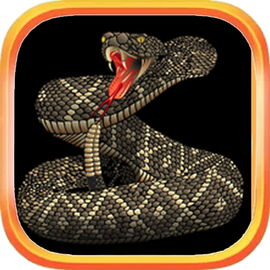 Hungry Snake - Cobra - Download do APK para Android