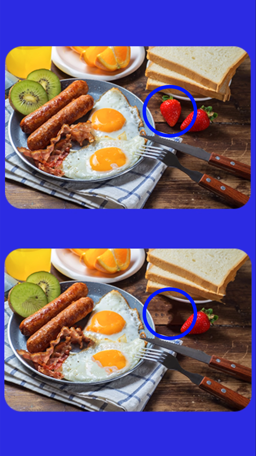 Spot The Differences Game ภาพหน้าจอเกม