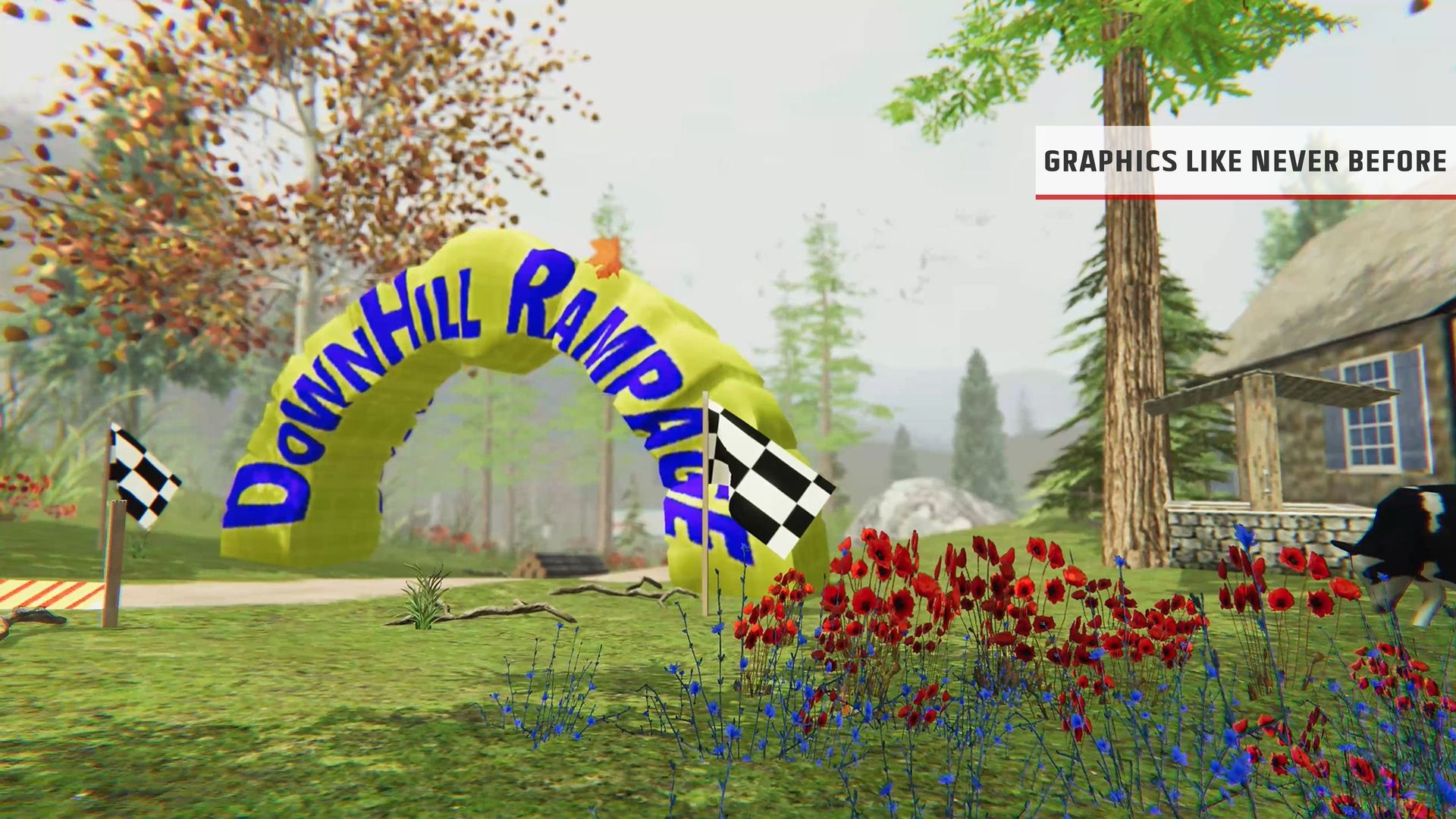 Screenshot of Downhill Republic