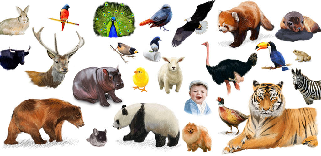 Banner of sonidos de animales padres e hijos juegan juntos 1.0