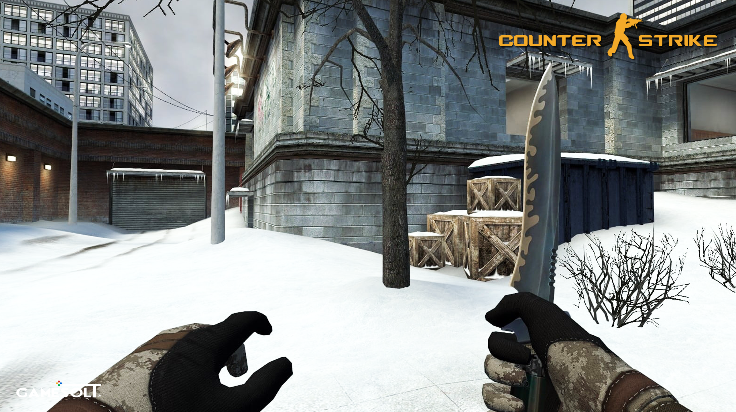 Counter Strike Forces : CS screenshot game