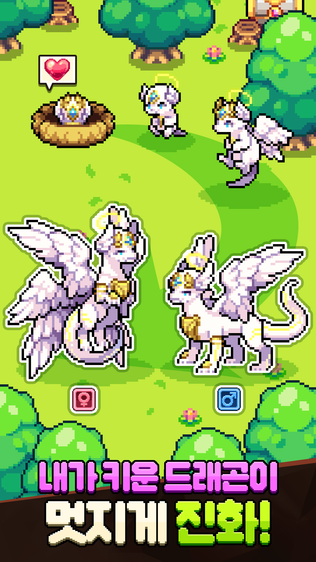 드래곤빌리지 컬렉션(12) Game Screenshot