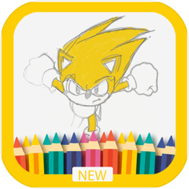 The hedgehog coloring  and drawing book