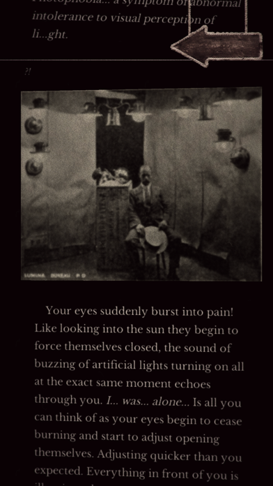 Seul.(Alone) The entrée - CYOA Game Screenshot