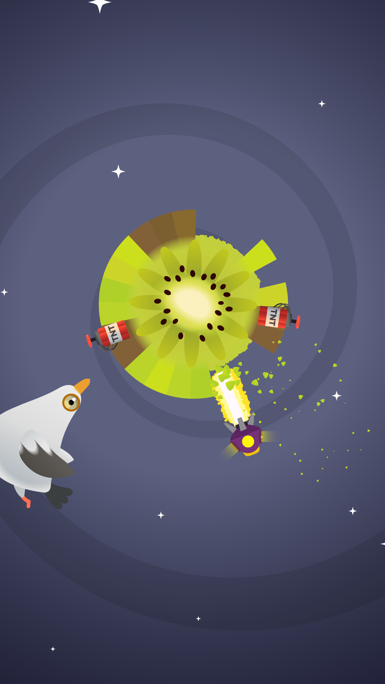 Pigeon Pop Game Screenshot