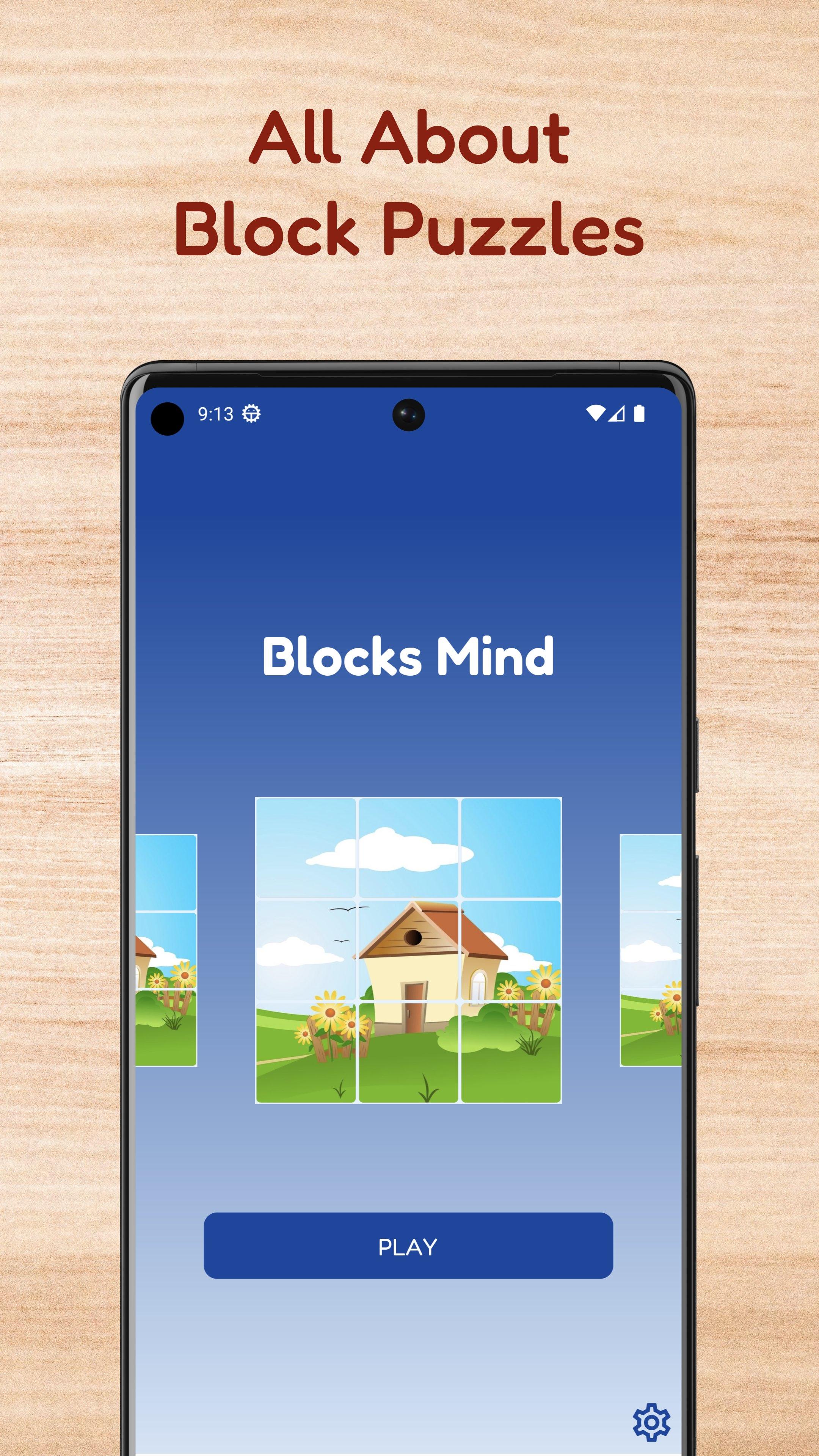 Blocks Mind Latest Version for Android/iOS APK - TapTap