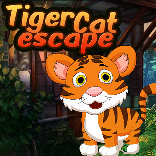 Tiger Cat Best Escape Game 104