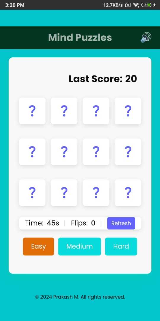 Mind Puzzles 게임 스크린샷