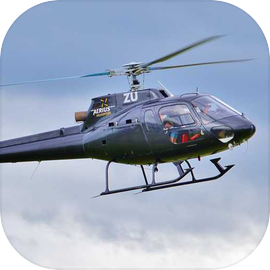 Air Platoon