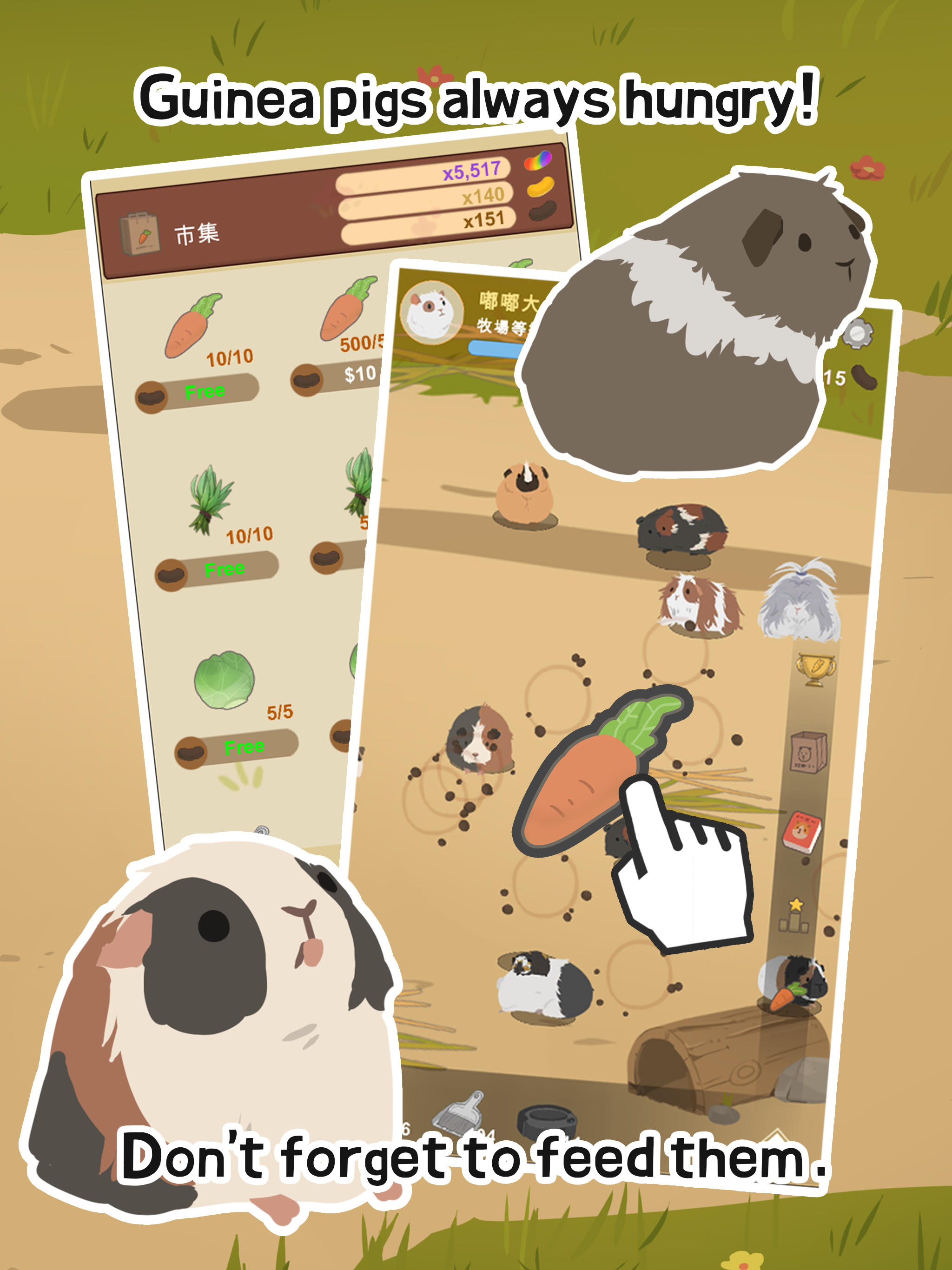 Guinea Pig Farm android iOS apk download for free-TapTap