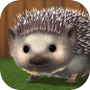 My Hedgehog