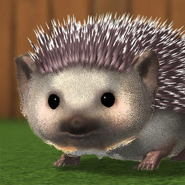 Android Hedgehog My Hedgehog Latest Version for Android/iOS APK - TapTap