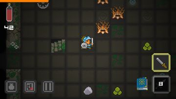 Quest of Dungeons Game Screenshot