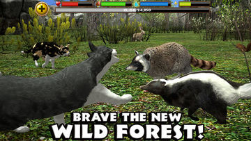 Stray Cat Simulator Game Screenshot