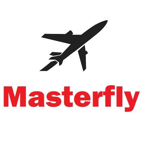 Masterfly遊戲截圖