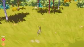 Screenshot of the video of Rabbit Simulator