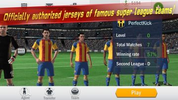 Winning Soccer Game Screenshot