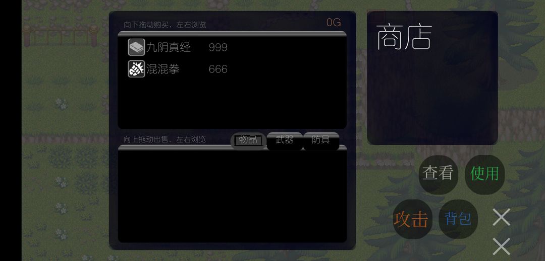 Screenshot of 武侠人生RPG版