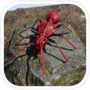 Icon of Bomber Ant