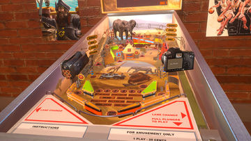 Safari Pinball Game Screenshot