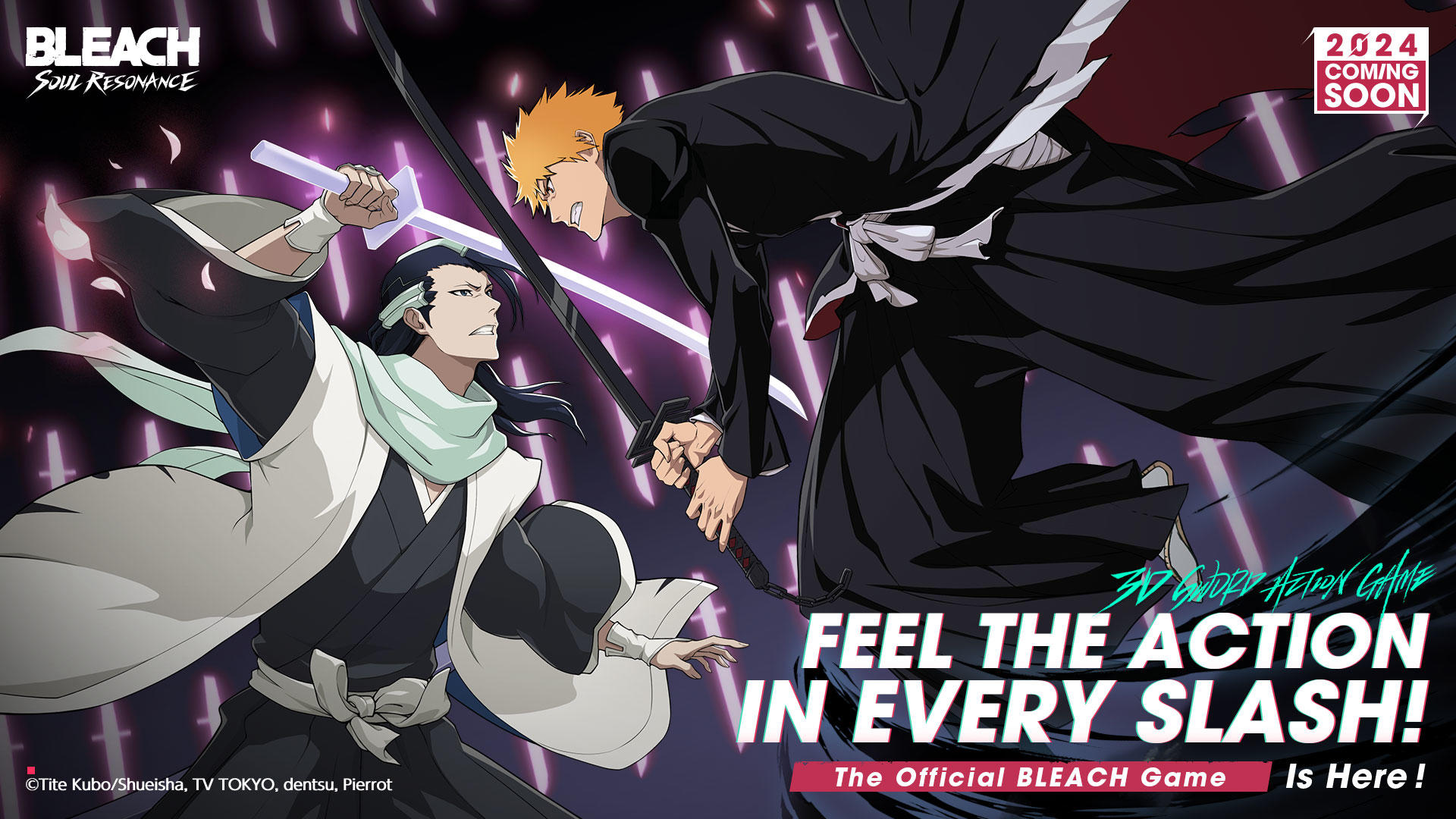 Banner of BLEACH: Soul Resonance 