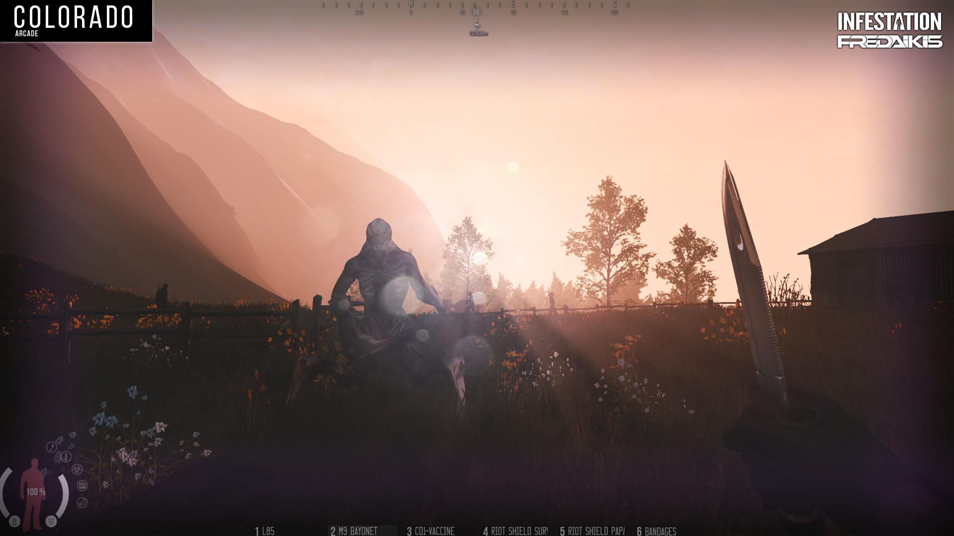 Screenshot of Infestation: The New Z