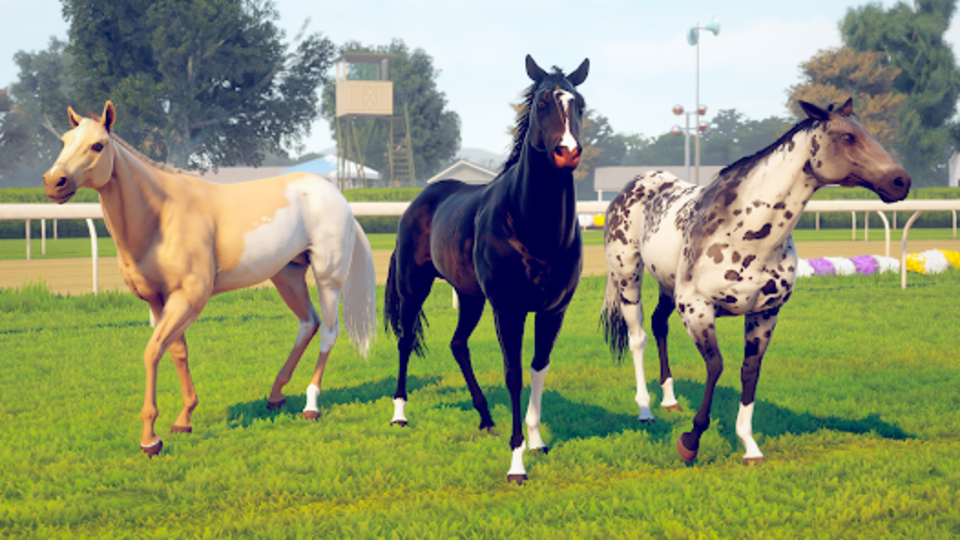 Horse Racing Game Screenshot