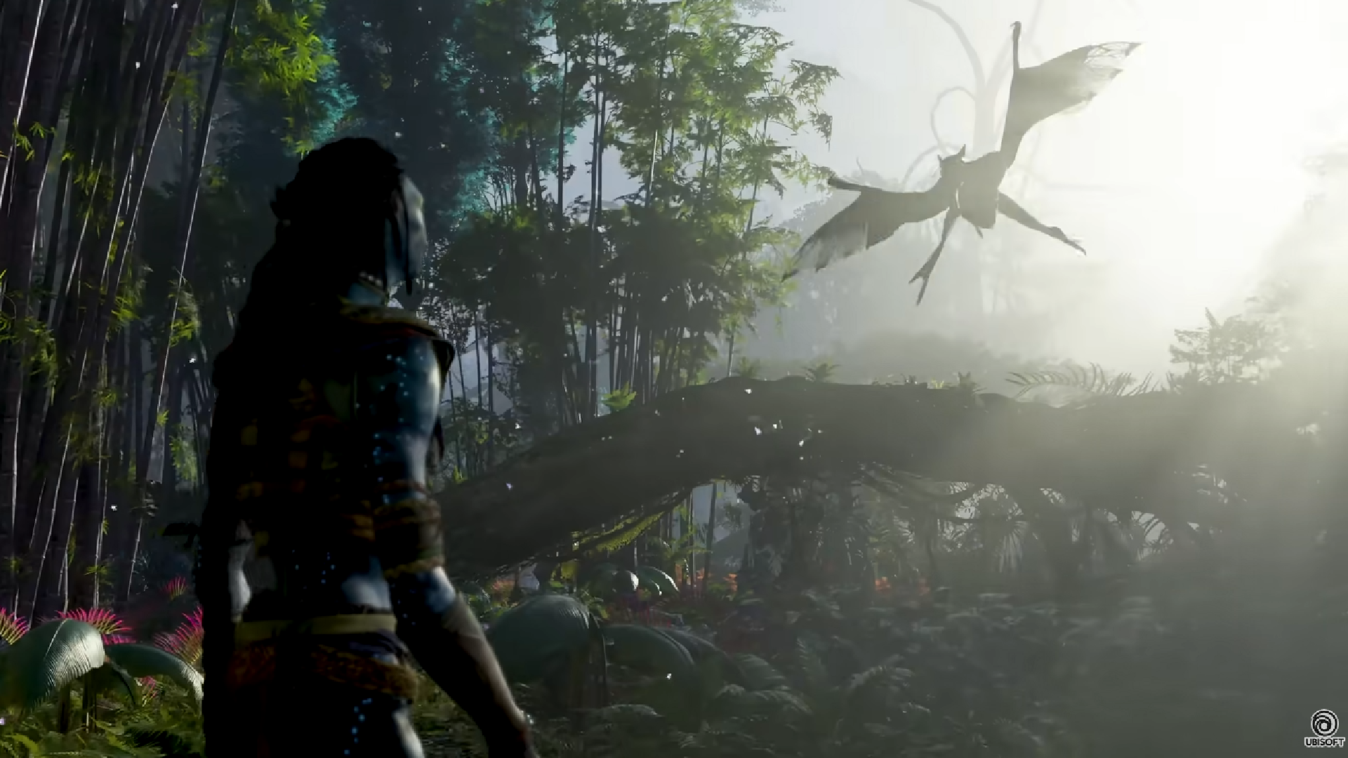 Avatar: Frontiers of Pandora Game Screenshot