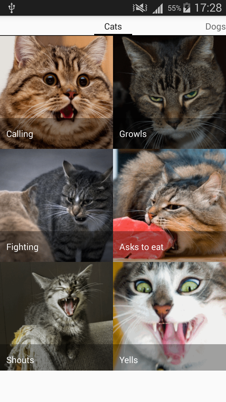 Animals sounds Game Screenshot