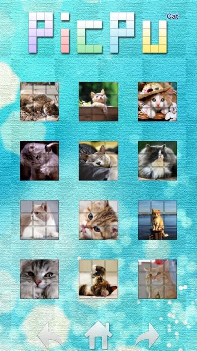Screenshot of PicPu - Cat Picture Puzzle