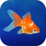 Akuarium Santai 3D Ikan Emas