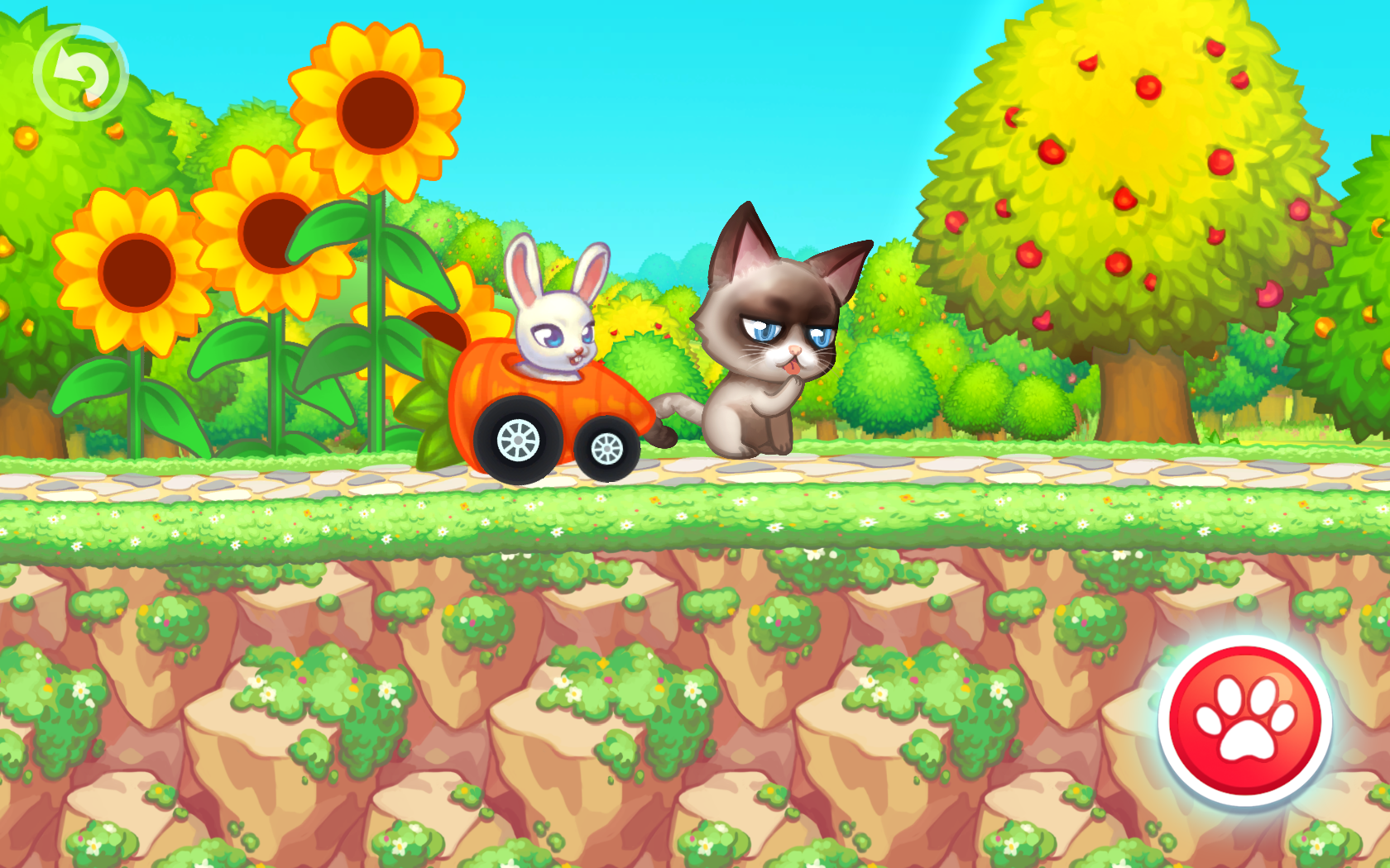 Pet Friends Park Racing screenshot game