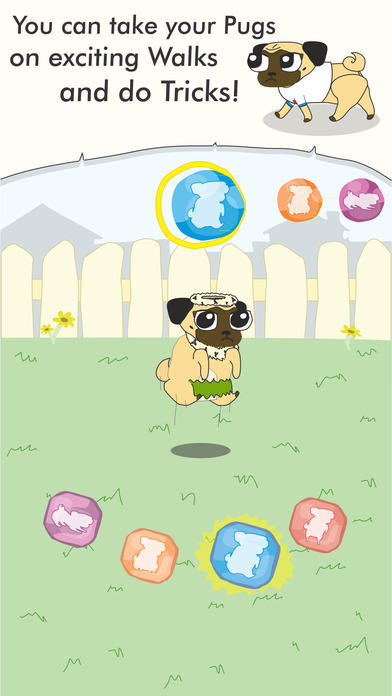 Growing Pug Game Screenshot