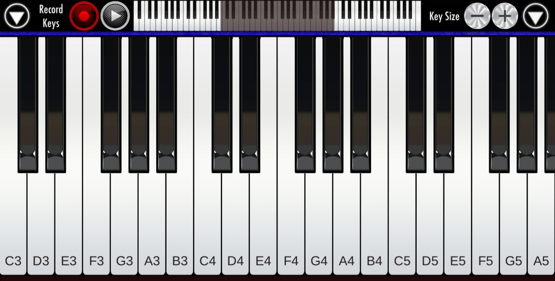 Screenshot of Real Piano