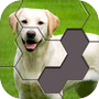 Hexa Jigsaw Puzzle ® 的圖示