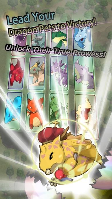 Dragoon Maiden Game Screenshot