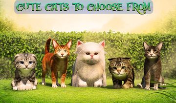 Cute Cat Adventure 2016 Game Screenshot