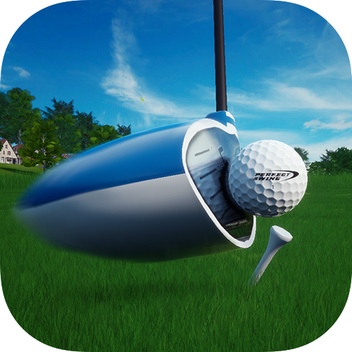 Perfect Swing Path Board パーフェクトスイングパスボード