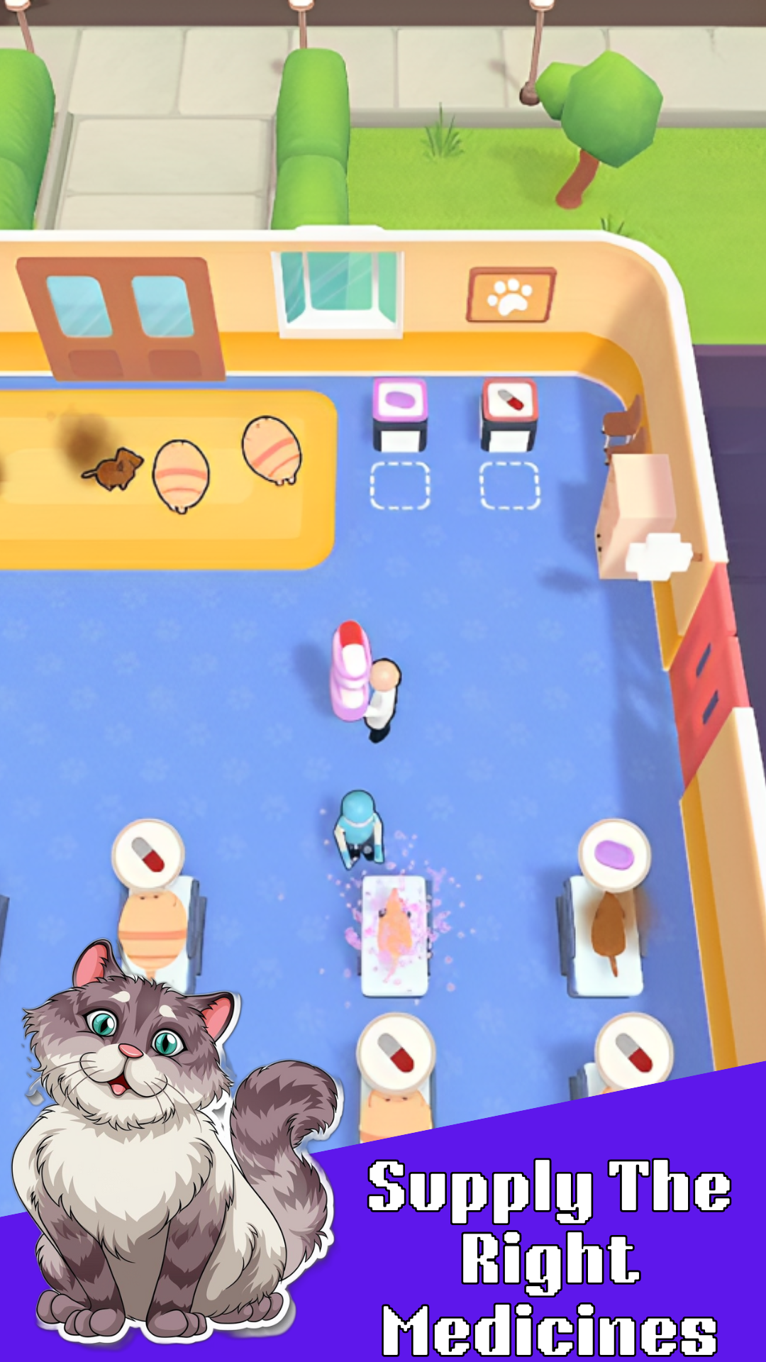 Pet Clinic- Doctor for Pets Game Screenshot