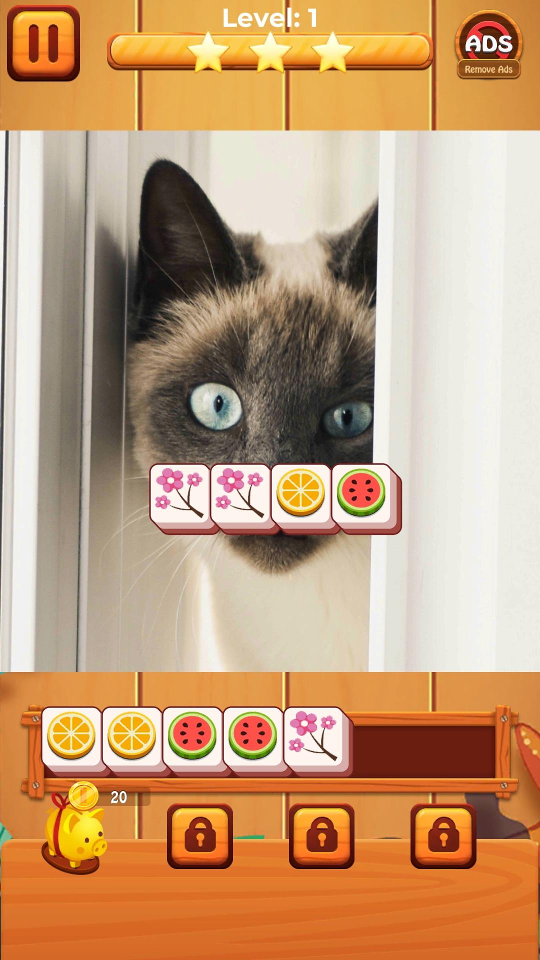 Cat level hot sale puzzle