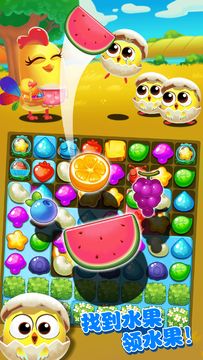 Chicken Splash 3 Game Screenshot