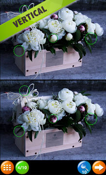 Скриншот игры Find the Difference adults kid