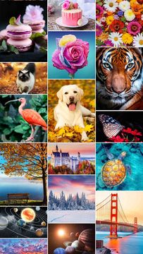 Cuplikan Layar Game Jigsaw1000: Jigsaw puzzles